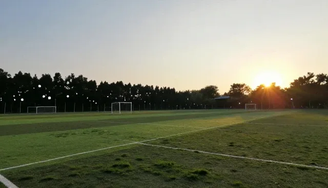 场景分析在传播效果策划中的关键作用